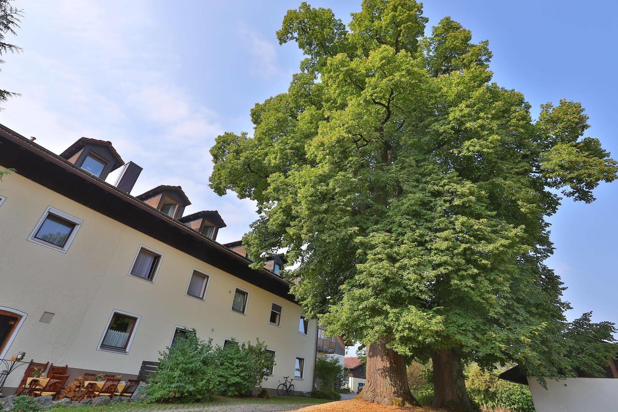 Hotel Bockmaier Oberpframmern Dış mekan fotoğraf
